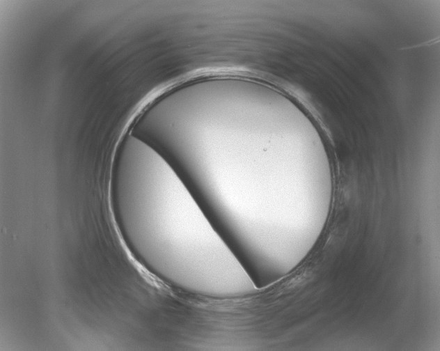 X0000080151245200612081044