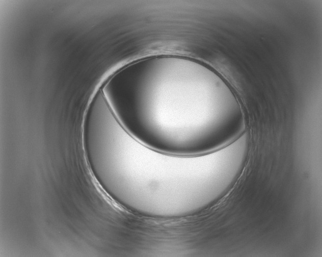 X0000080151246200612081044