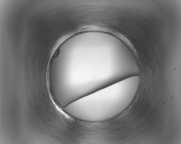 X0000080151247200612081044