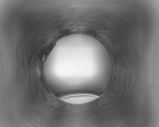 X0000080151250200612081043