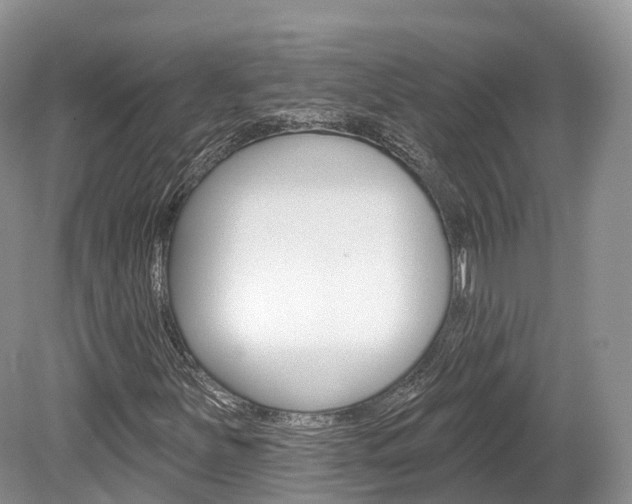 X0000080151251200612081043