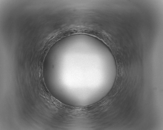 X0000080151253200612081043
