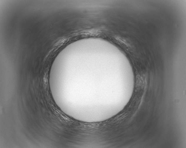 X0000080151254200612081043