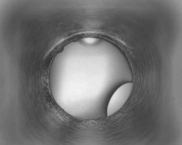 X0000080151255200612081043