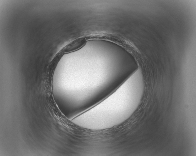 X0000080151256200612081043