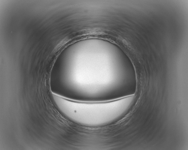 X0000080151257200612081043