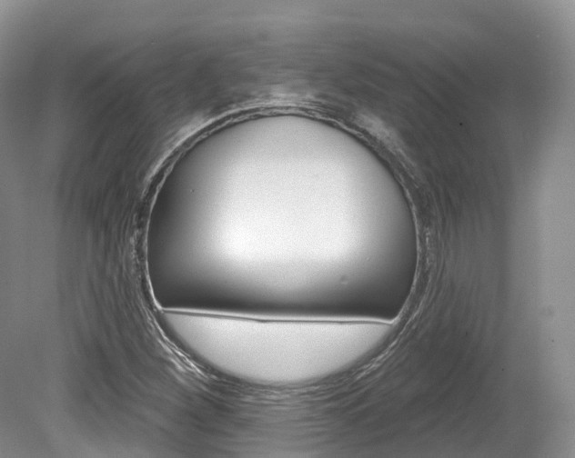 X0000080151260200612081043