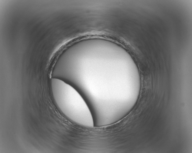 X0000080151262200612081043