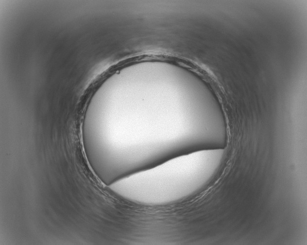 X0000080151263200612081043