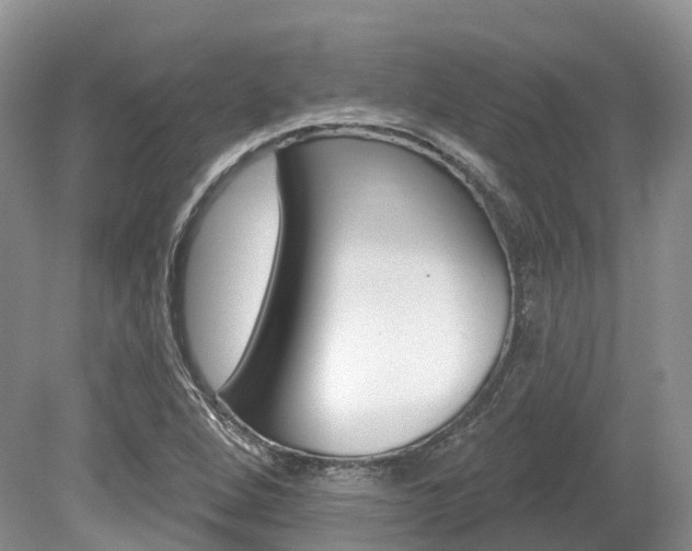 X0000080151264200612081043