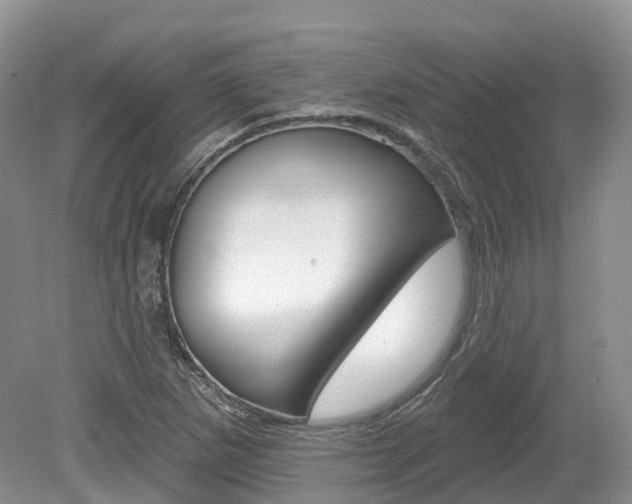 X0000080151265200612081043