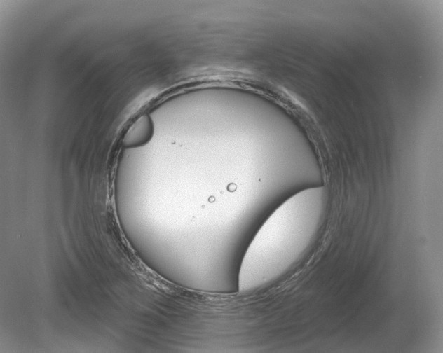 X0000080151267200612081043