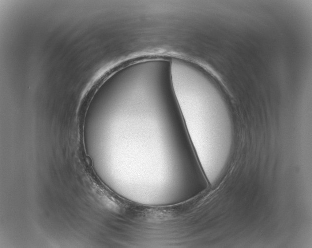 X0000080151270200612081043