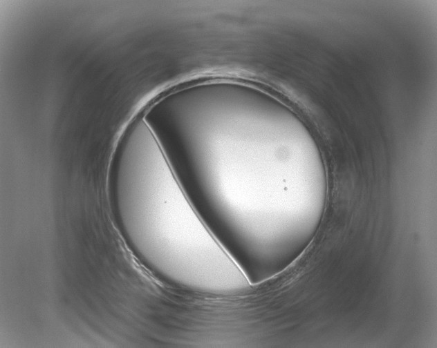 X0000080151272200612081043