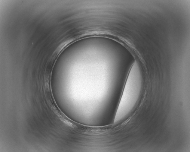 X0000080151273200612081043