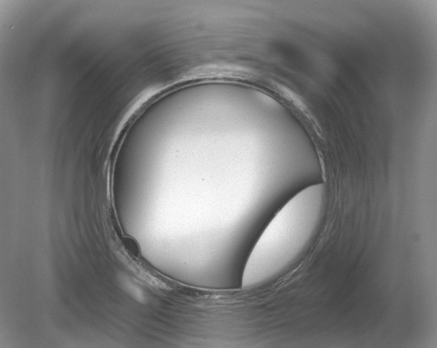 X0000080151275200612081043