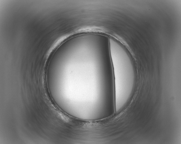 X0000080151277200612081043