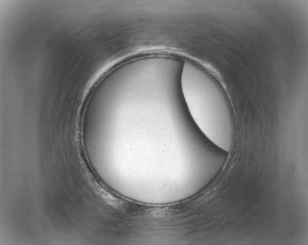X0000080151279200612081043