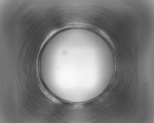 X0000080151283200612081043