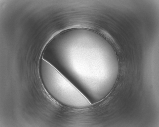 X0000080151284200612081043