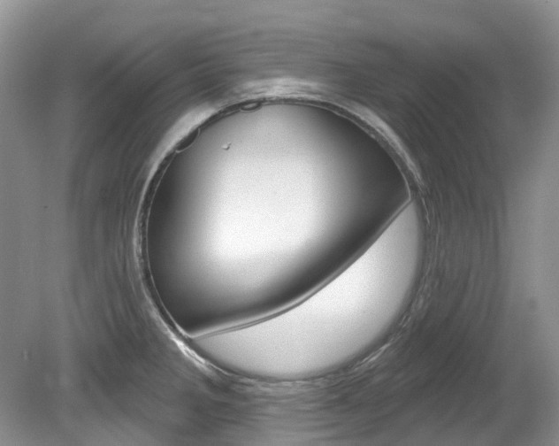 X0000080151285200612081043
