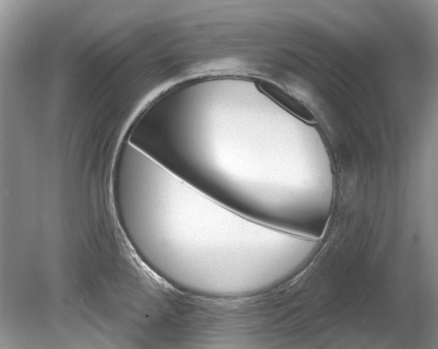 X0000080151288200612081043