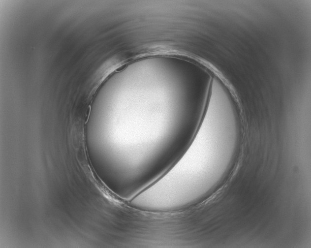 X0000080151289200612081043