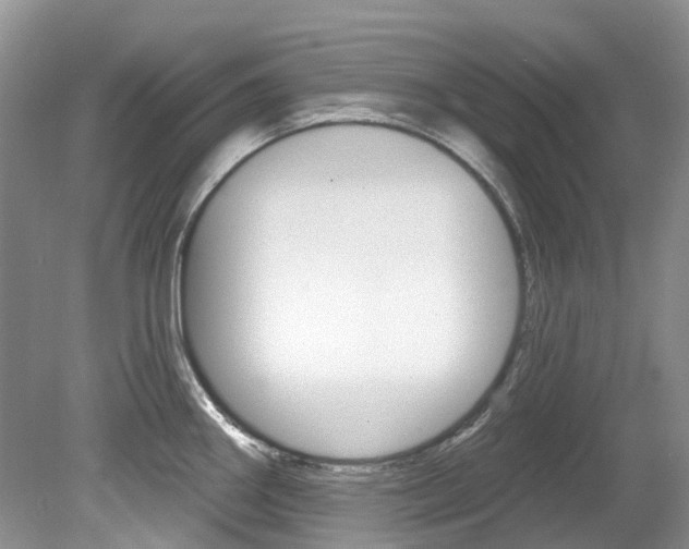 X0000080151290200612081043