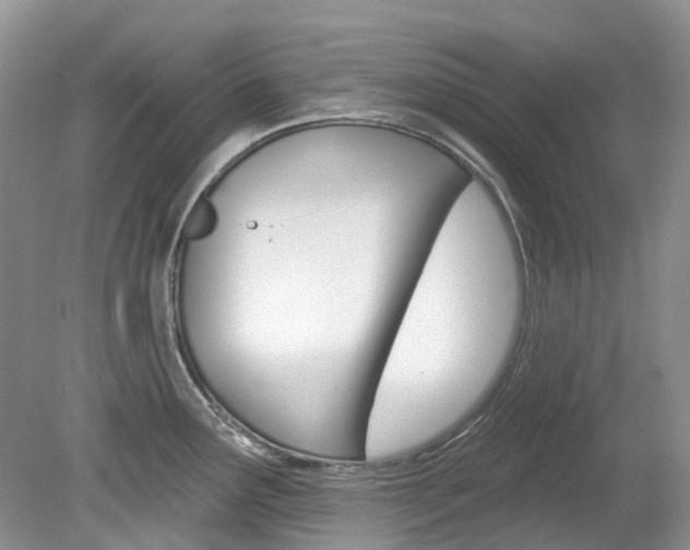 X0000080151291200612081042