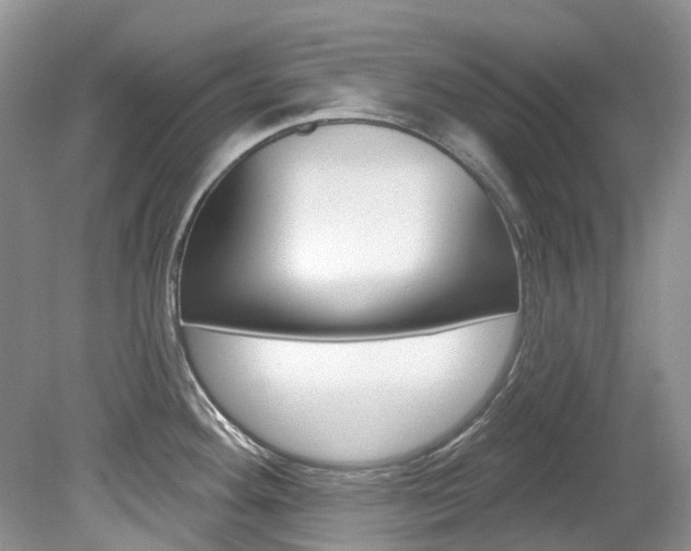 X0000080151292200612081042