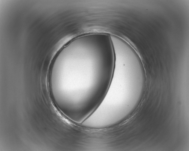 X0000080151293200612081042