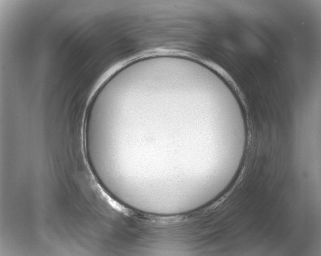 X0000080151294200612081042