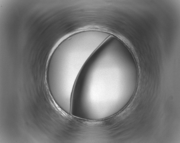 X0000080151296200612081042