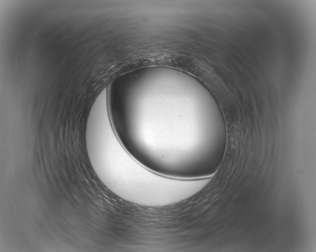 X0000080151298200612081042