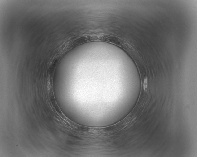 X0000080151299200612081042