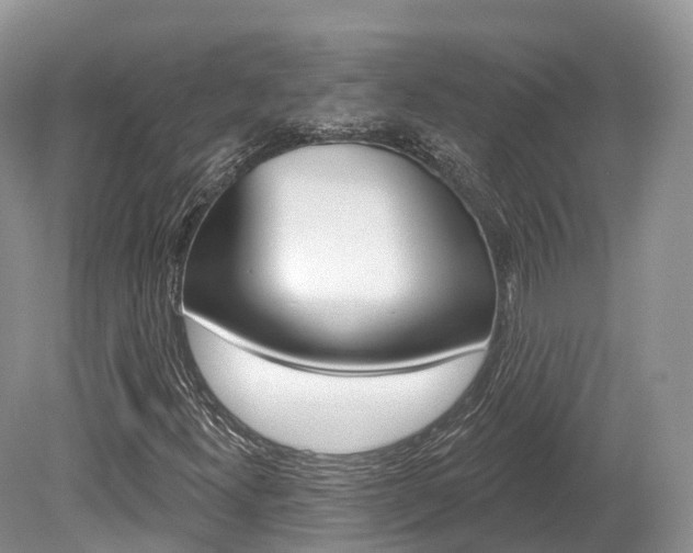 X0000080151300200612081042