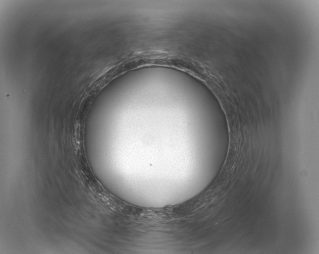 X0000080151301200612081042