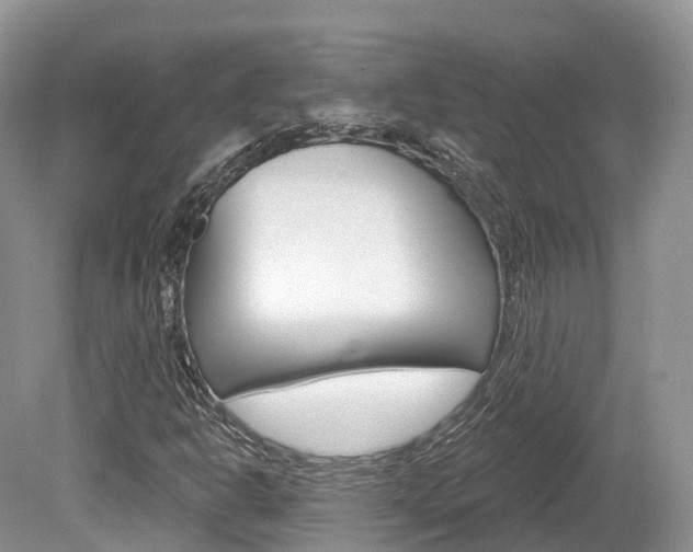 X0000080151302200612081042