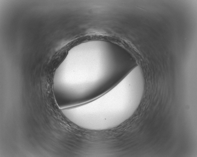 X0000080151303200612081042