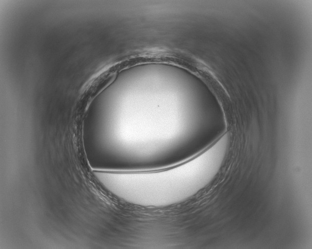 X0000080151304200612081042