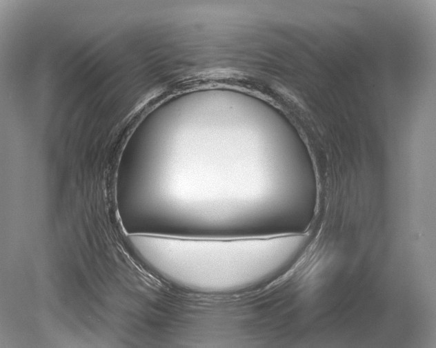 X0000080151305200612081042