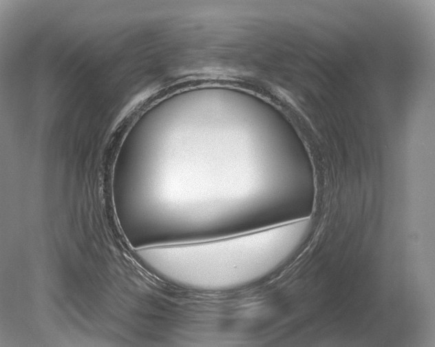X0000080151307200612081042