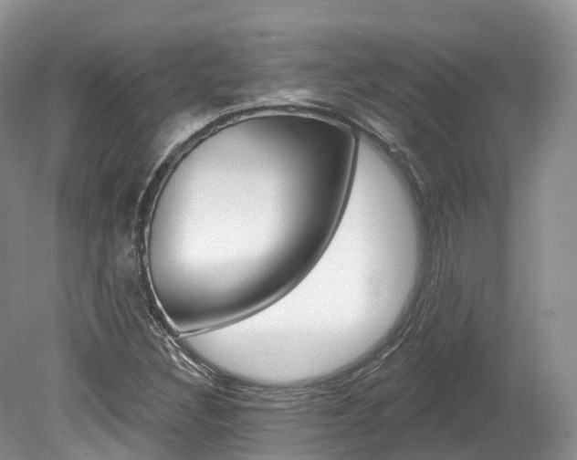 X0000080151308200612081042