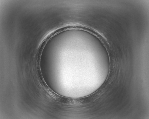 X0000080151311200612081042