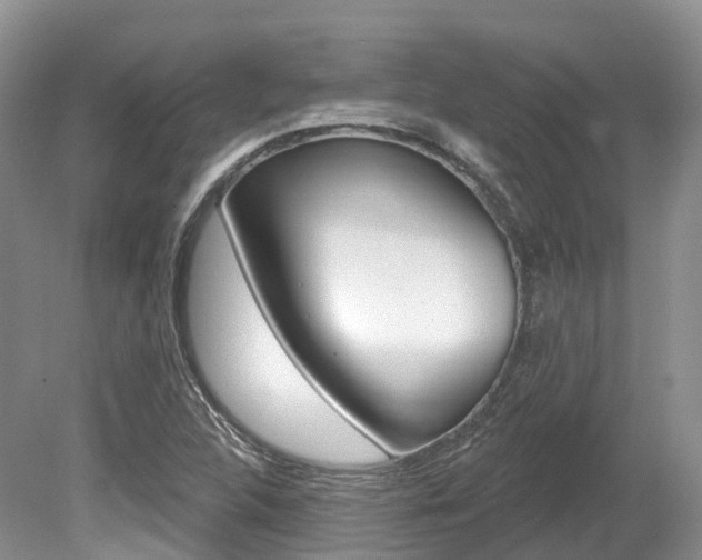 X0000080151312200612081042
