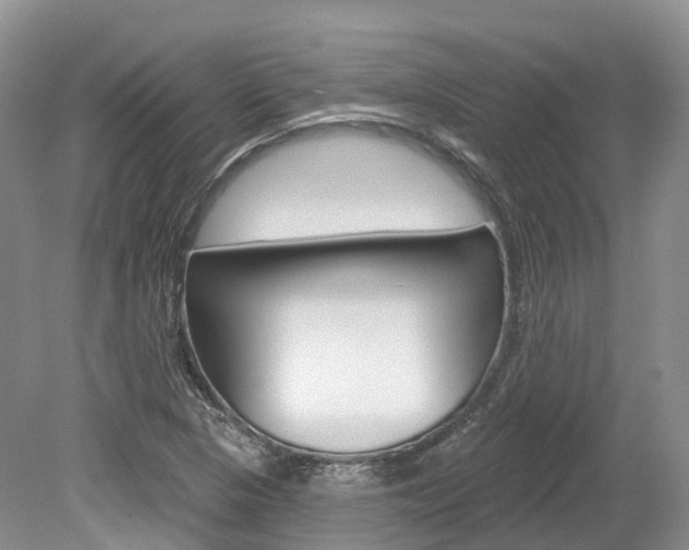 X0000080151313200612081042