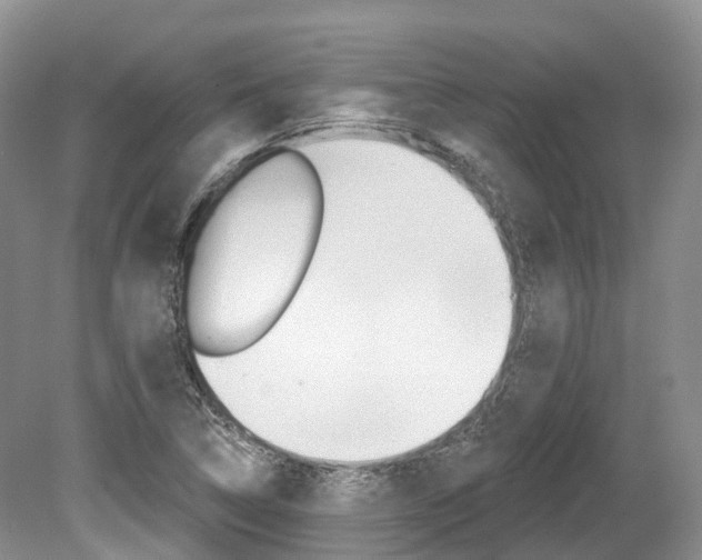 X0000080151314200612081042