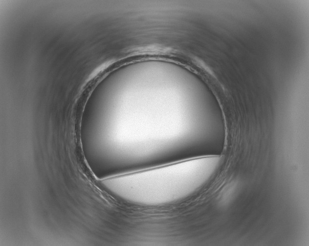 X0000080151315200612081042