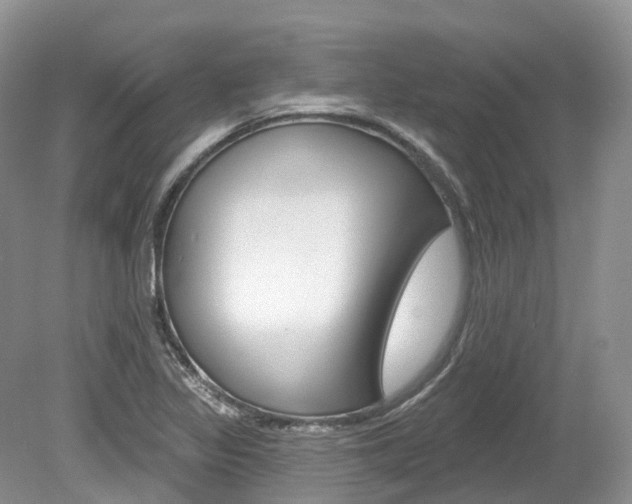 X0000080151317200612081042