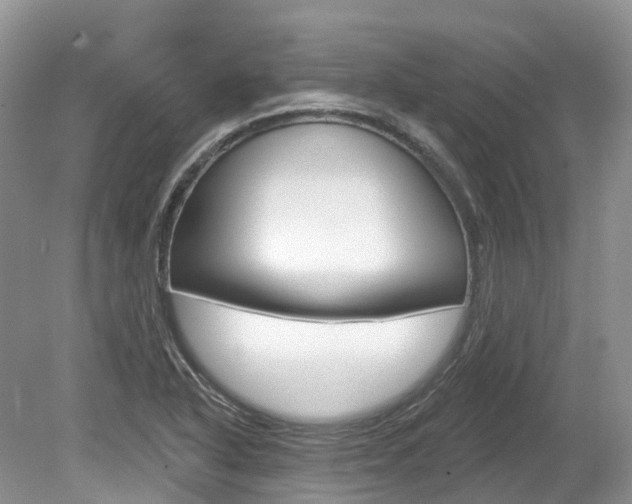 X0000080151318200612081042